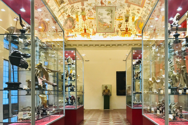 Collezione Anatomica Paolo Gorini