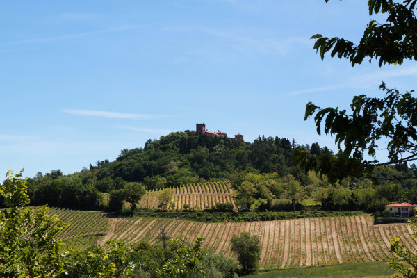 Castello di Montalto