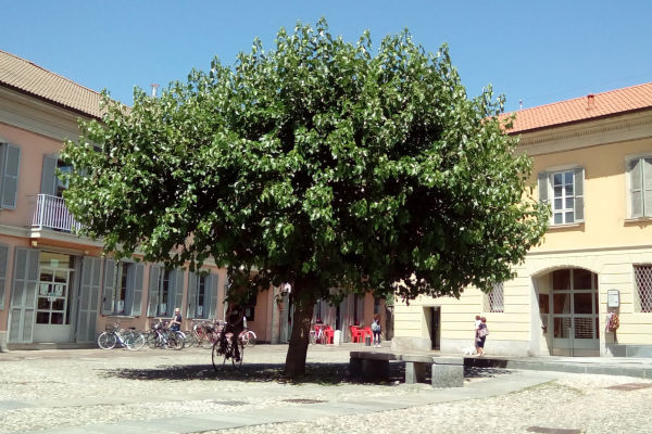 Metagames Cernusco sul Naviglio
