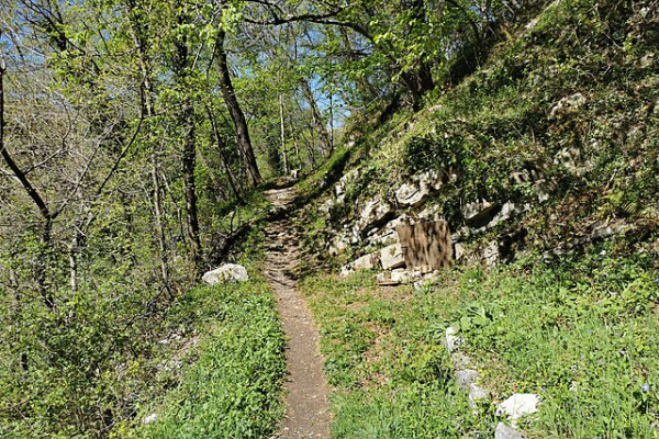 Lo stretto sentiero della Budraghera verso Canzo