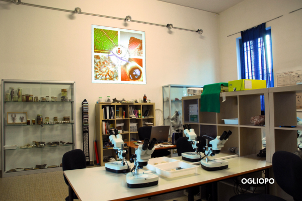 Laboratorio Museo Paleoantropologico del Po