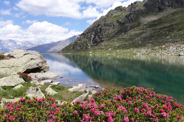 Lago di Campaccio