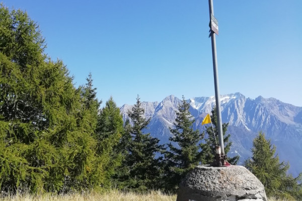 Toricla