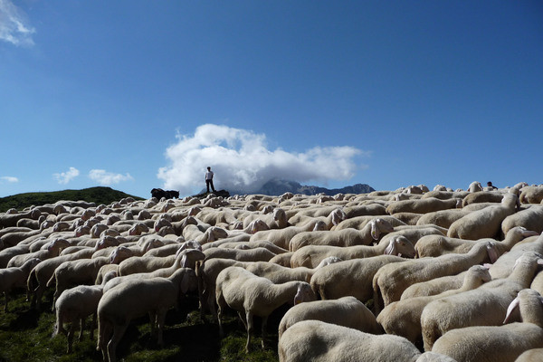 Pastorizia e il Gaì