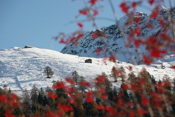 Suggestioni Invernali 