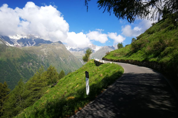 Passo Gavia