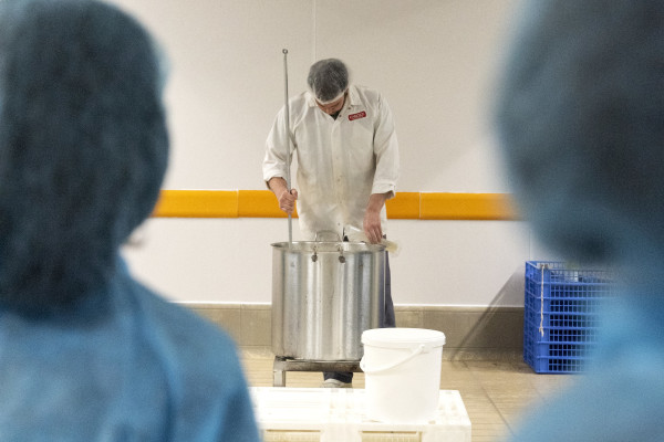 Da Carozzi - laboratorio caseario per bambini e ragazzi