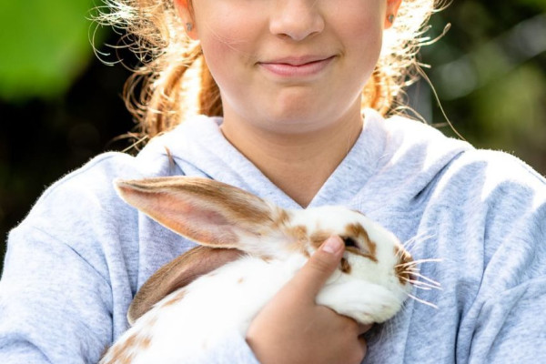 Un coniglio in braccio a una bambina