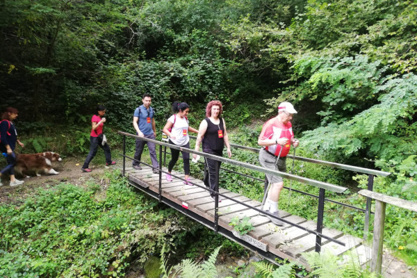 Il ponticello nel bosco