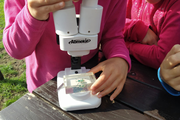 Osservazione al microscopio
