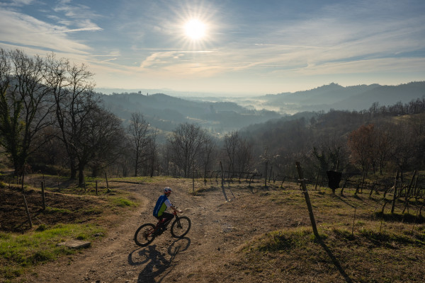 Tour in E-BIKE tra i vigneti di Montevecchia con possibile degustazione