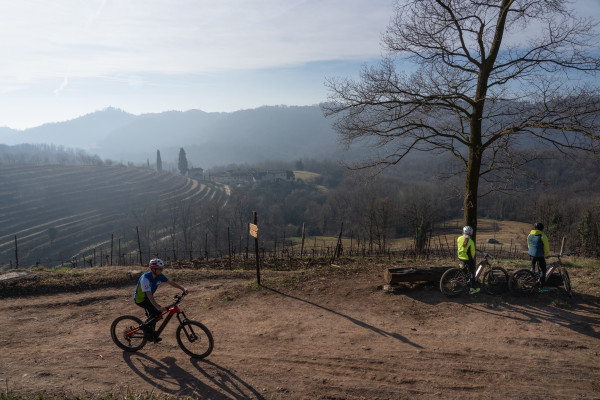 Tour in E-BIKE tra i vigneti di Montevecchia con possibile degustazione