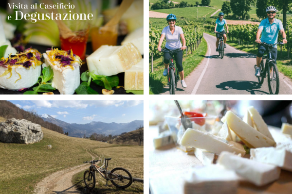 ESPERIENZA BIKE e WINE in VALSASSINA