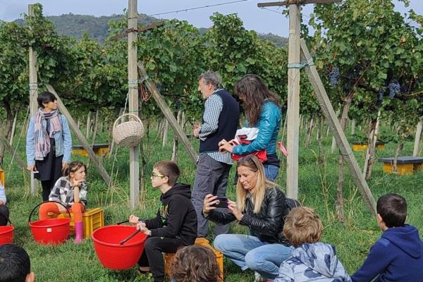 Bimbi con famiglia che ascoltano storia della vendemmia a Bergamo