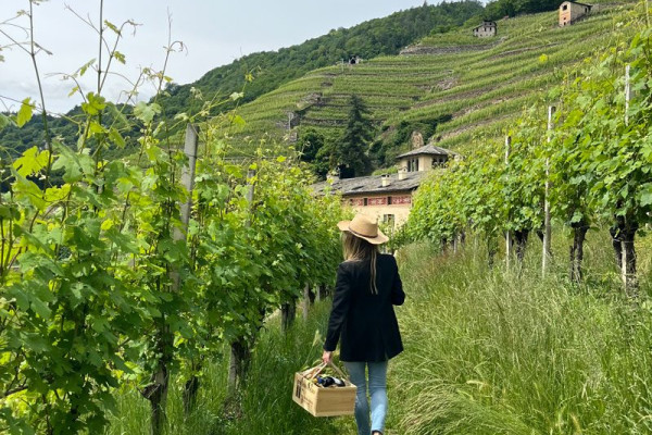ragazza tra le vigne che fa un picnic in valtellina