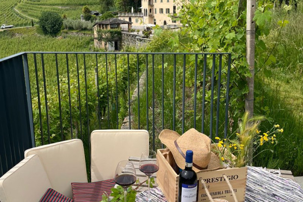 cesto da picnic con prodotti km0 per un picnic a Sondrio