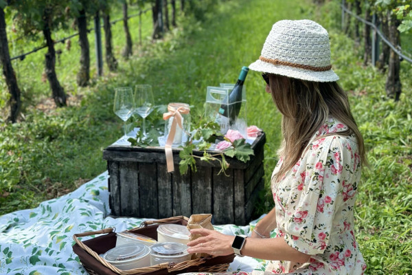 ragazza che fa un picnic tra le campagne mantovane in vigna