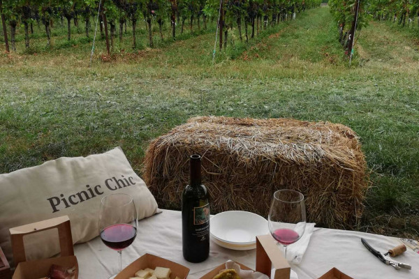 prodotti km0 di un picnic a san paolo d'argon