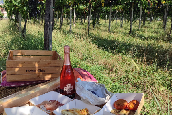 Picnic in vigna a Bergamo