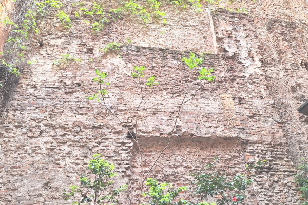 Milano_via circo_muro del Circo