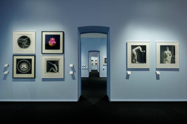 Mostra di Mapplethorpe