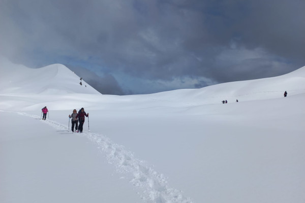 NEVE E CIASPOLE