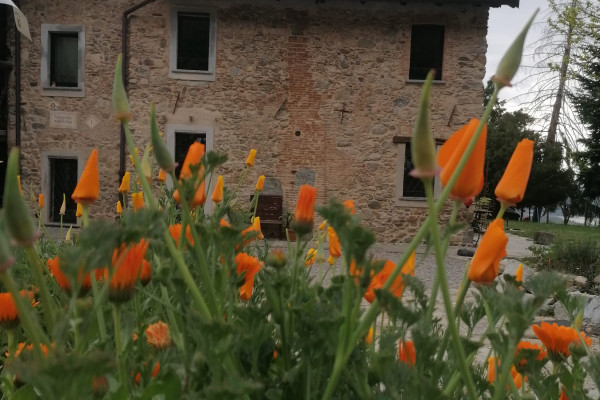 cascina ginocchio 