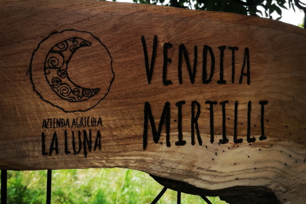 insegna vendita mirtilli 