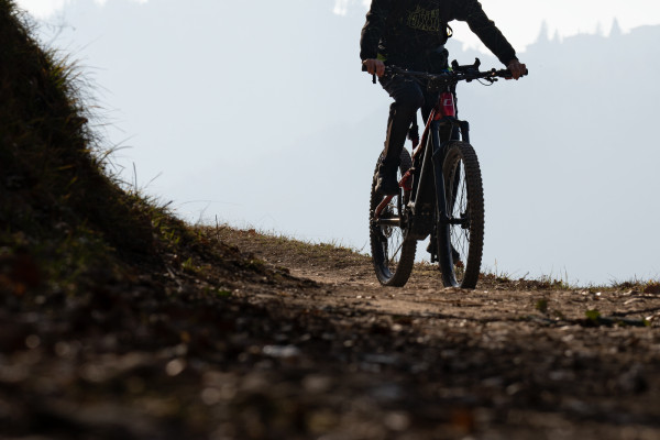 Tour in e-bike tra i vigneti di Montevecchia con possibile degustazione